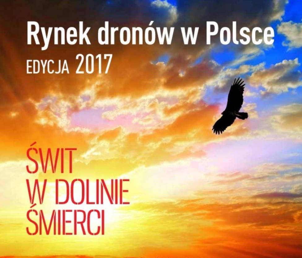 Badanie rynku dronów w Polsce 2016 – wnioski i rekomendacje