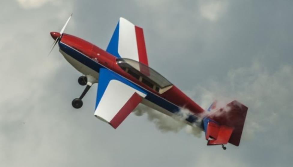 Model samolotu na Zlocie Gigantów  (fot. Tadeusz Kaluba)