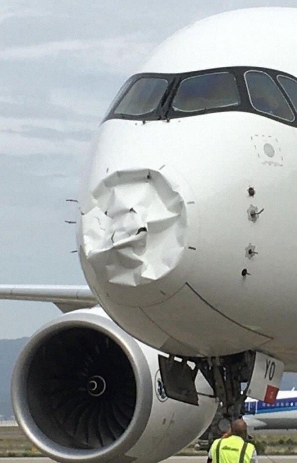 Uszkodzony A359 Air France po bird strike, fot. Avherald