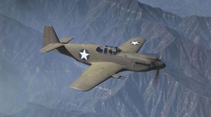 P-51 Mustang (fot. USAAF/Domena publiczna/Wikimedia Commons)