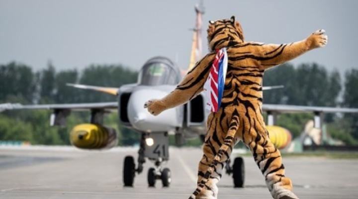NATO Tiger Meet zakończone (fot. archiwum CPI)