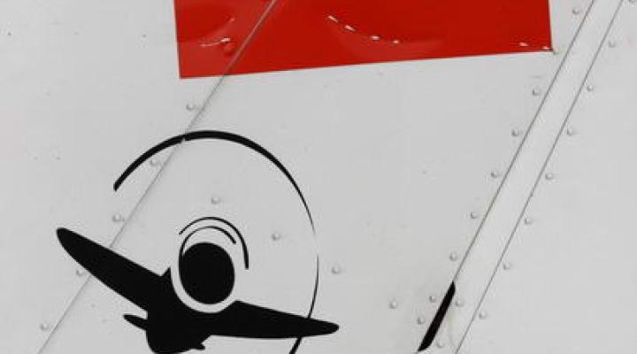 Polish Flying Team (logo na samolocie)