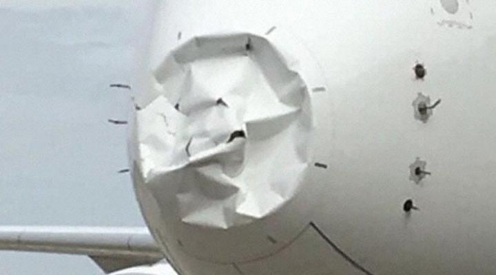 Uszkodzony A359 Air France po bird strike, fot. Avherald