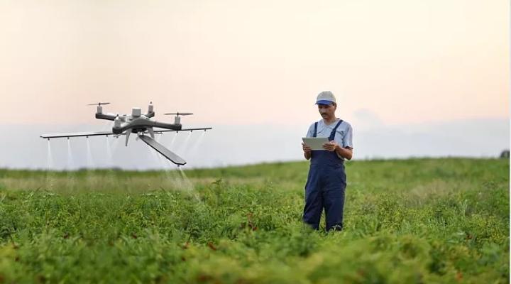 Dron w rolnictwie wykorzystywany do oprysków (fot. targikielce.pl)