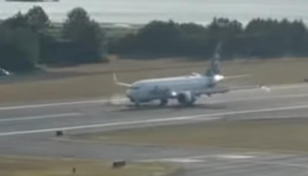 B737-8 MAX Alaska Airlines zderzył się z jeleniem po przyziemieniu w Kodiak (film)