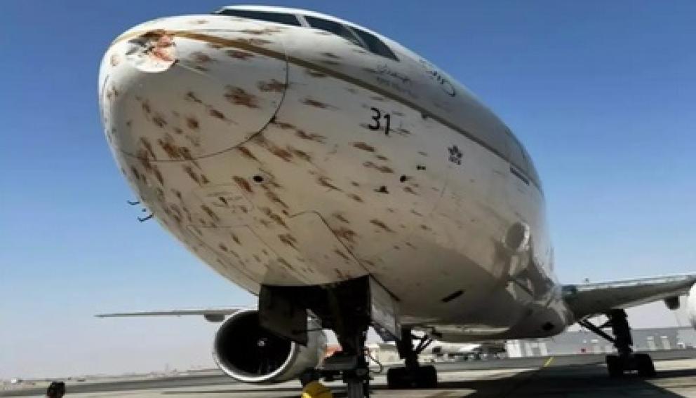 Wielokrotny bird strike B777 linii Saudia podczas startu z Algieru (film) 