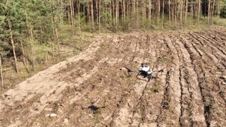 Dron DJI Agras T10 wykorzystany do siewu sosny (fot. Dilectro)4