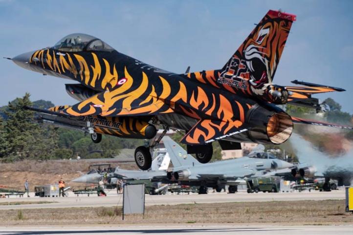 NATO Tiger Meet (fot. Remo Guidi)