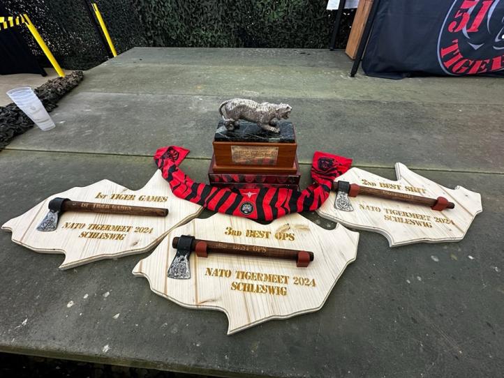 Silver Tiger dla polskich pilotów (fot. Paweł Krzeszkiewicz, 31 BLT)