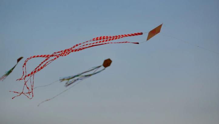 Latawce na Bemowie – Latawcowe Mistrzostwa Warszawy (fot. Bogdan Wierzba)2