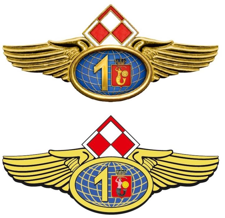 Odznaka pamiątkowa 1. Bazy Lotnictwa Transportowego (fot. 1BLTr)