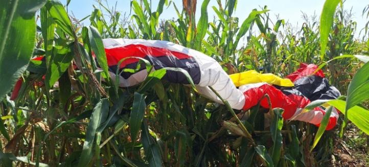 Wypadek paralotni w Łęgu Tarnowskim, fot. PKBWL