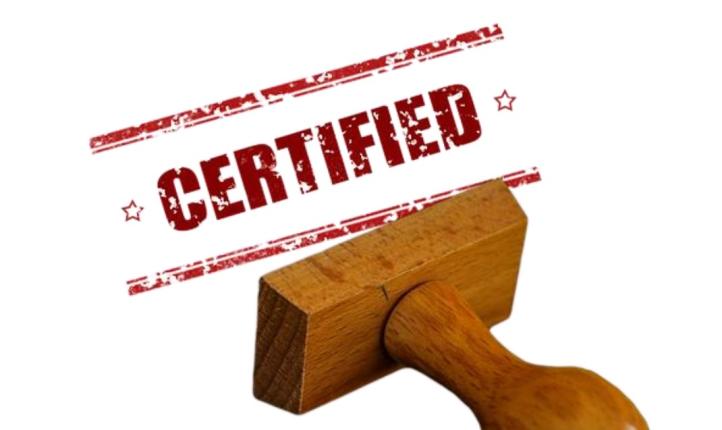 Certified (fot. Grzegorz Brychczyński)