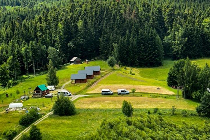 Widok okolicy poszukiwań z drona (fot. Polska Policja)