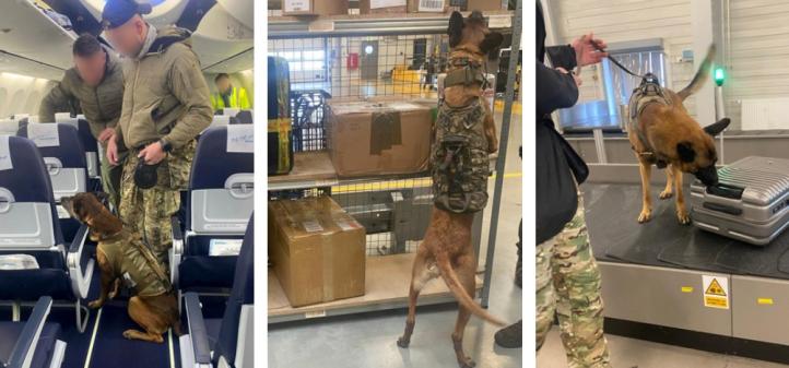 Ćwiczenia w wykrywaniu materiałów wybuchowych i broni w Porcie Lotniczym Katowice (fot. Śląski OSG) Ćwiczenia w wykrywaniu materiałów wybuchowych i broni w Porcie Lotniczym Katowice (fot. Śląski OSG)