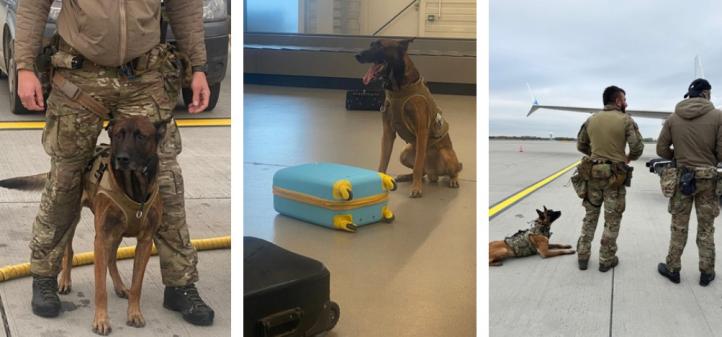 Ćwiczenia w wykrywaniu materiałów wybuchowych i broni w Porcie Lotniczym Katowice (fot. Śląski OSG)2 Ćwiczenia w wykrywaniu materiałów wybuchowych i broni w Porcie Lotniczym Katowice (fot. Śląski OSG)2