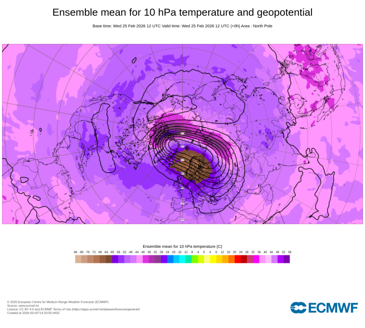 Średnia wiązkowa ECMWF na 10 hPa prognoza na dzień 25 luty 2026 (fot. ECMWF)