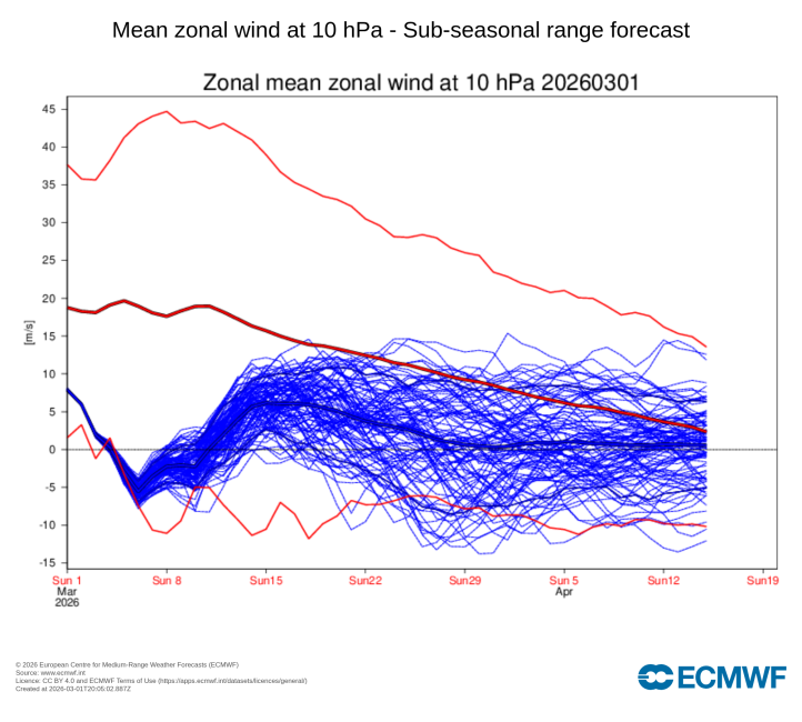 Prognoza wiatrów strefowych na 10 hPa (fot. ECMWF)