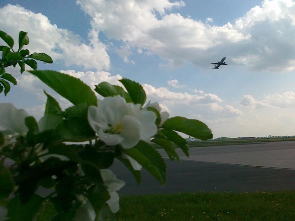 Wiosna na lotnisku Okęcie