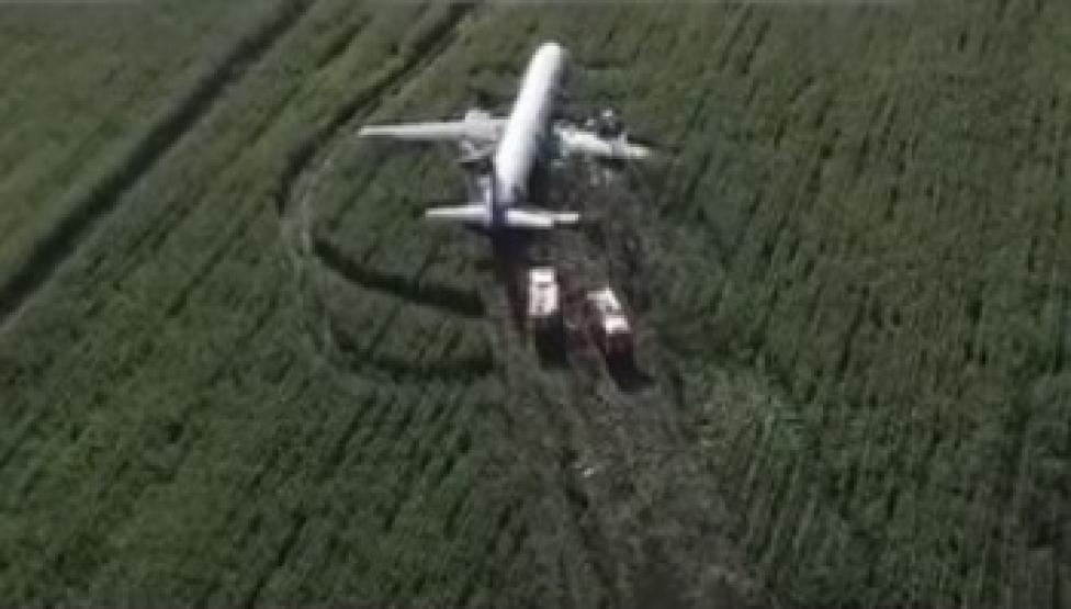 A321-100 po awaryjnym lądowaniu na polu kukurydzy niedaleko lotniska Żukowskij (fot. kadr z filmu na youtube.com)