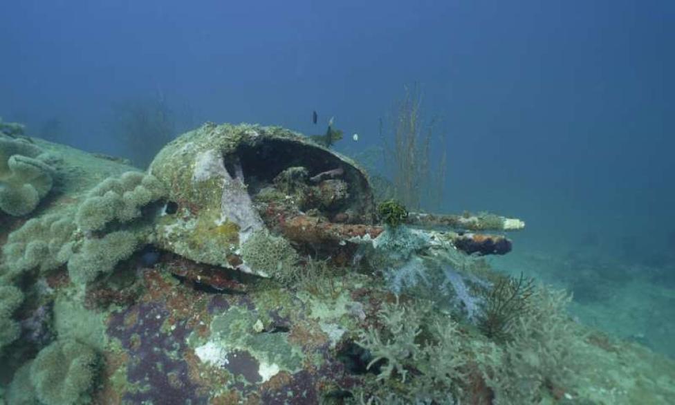Wrak B-25 znaleziony na wybrzeżu Nowej Gwinei