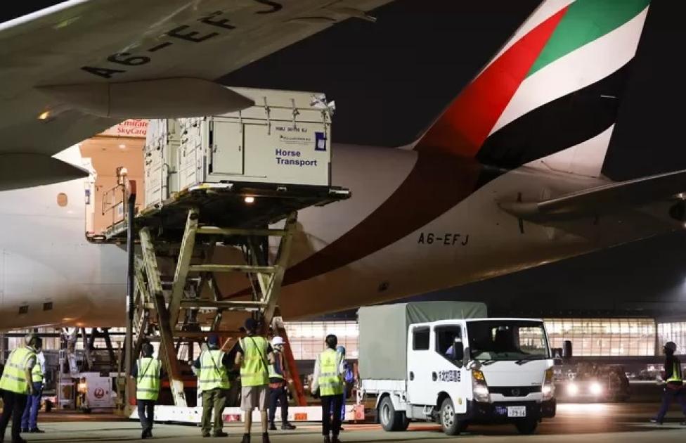 Załadunek cargo do B777 Emirates, fot Emirates 