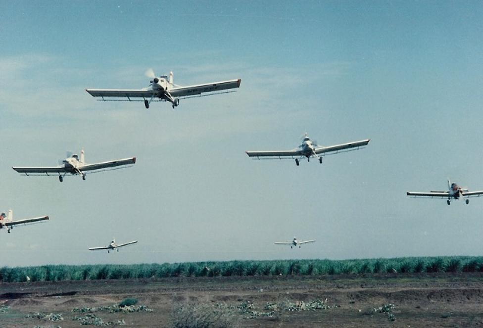 Przylot eskadry Kruków Turbo i 106-BR na rozpoczęcie pracy na trzcinie cukrowej, fot. źródło: Lesław Karst