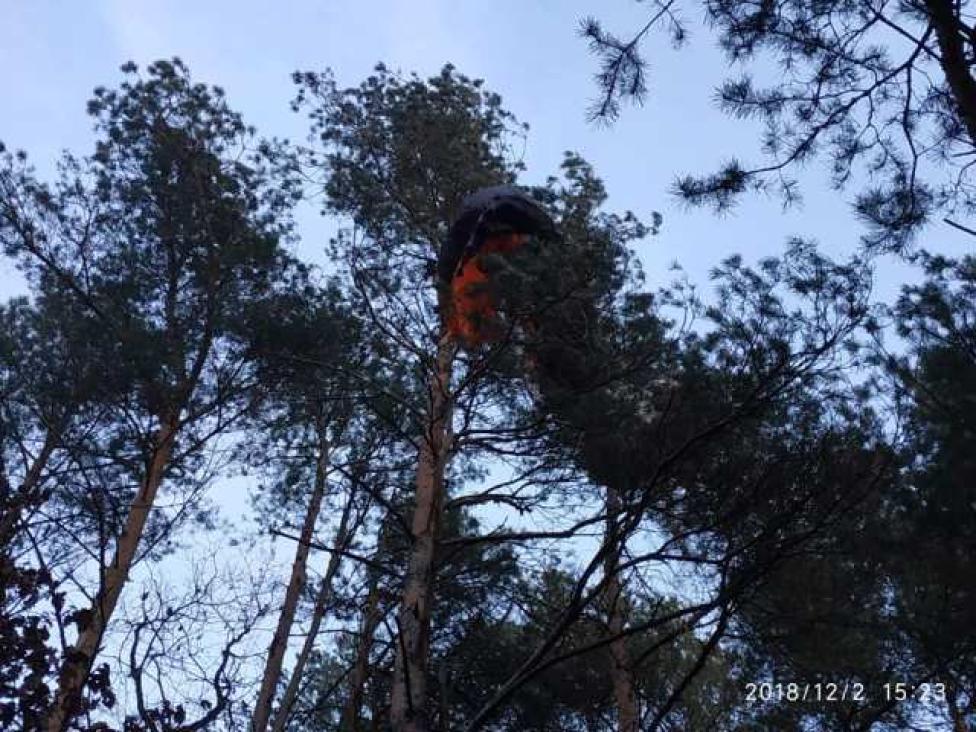 Paralotniarz zawisł na drzewie w Janowcu (fot. Grzegorz Olejarczyk – OSP KSRG Janowiec)