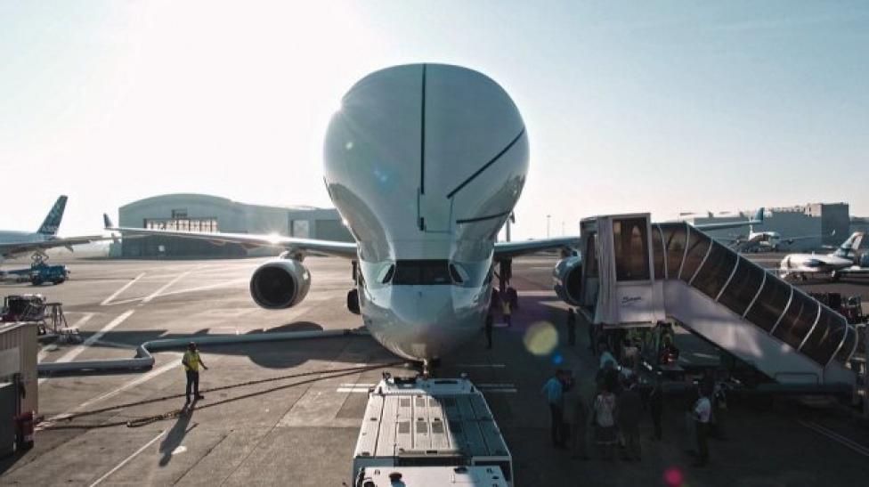 Beluga XL na płycie lotniska - widok z przodu (fot. National Geographic)