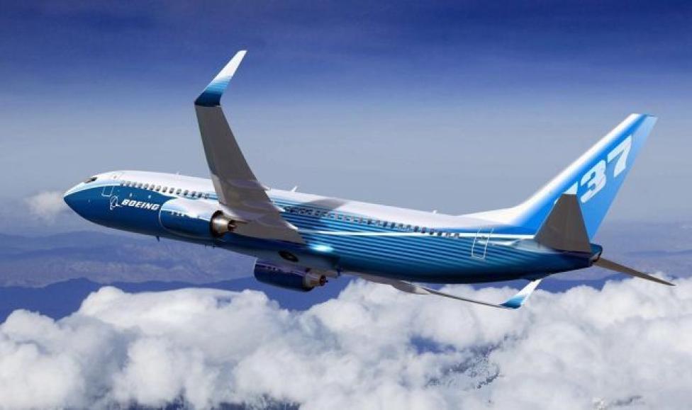 Boeing 737-800 (fot. vektri.com)