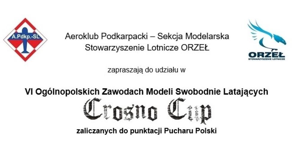 VI Ogólnopolskie Zawody Modeli Swobodnie Latających Crosno Cup (fot. freeflight-krosno.vxm.pl)