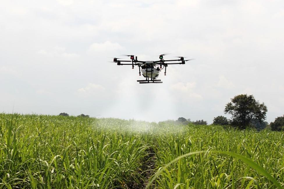 Dron wykorzystany w rolnictwie (fot. pixabay.com/Free-Photos)