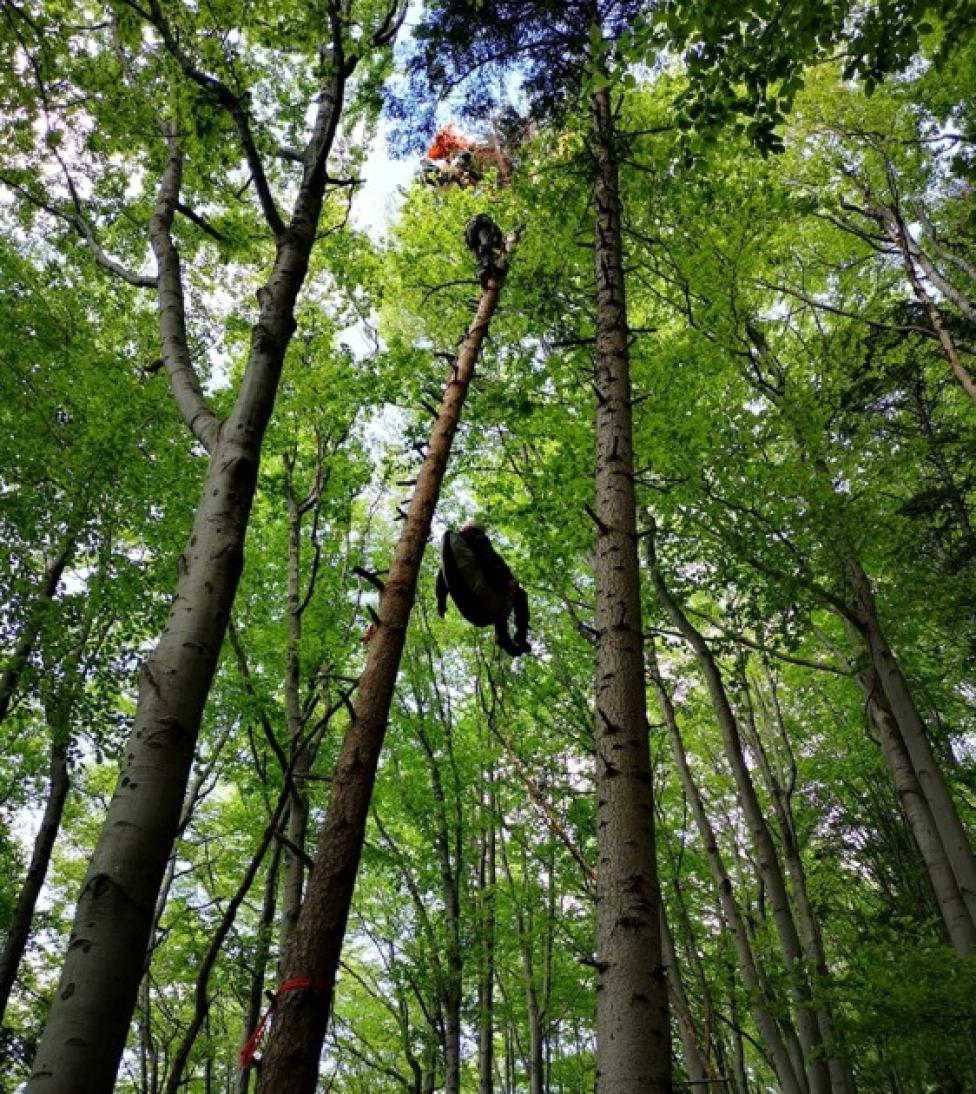 Ewakuacja paralotniarza z drzewa (fot. Grupa Podhalańska GOPR/FB)