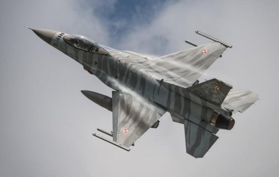 F-16 Polskich Sił Powietrznych w tygrysim malowaniu w locie - widok z góry (fot. kpt. Robert Filipczuk)