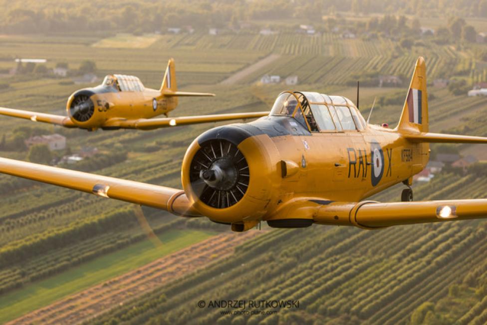 Samoloty Harward, zdjęcie A.Rutkowski