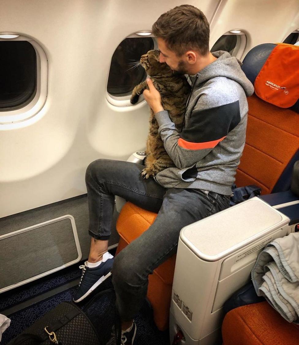 Michaił Galin z kotem Wiktorem w samolocie (fot. Mikhail Galin/Facebook)