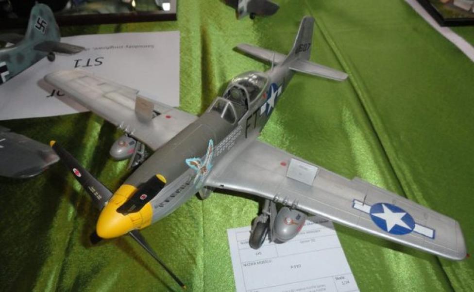 Model samolotu (fot. debica.pl)
