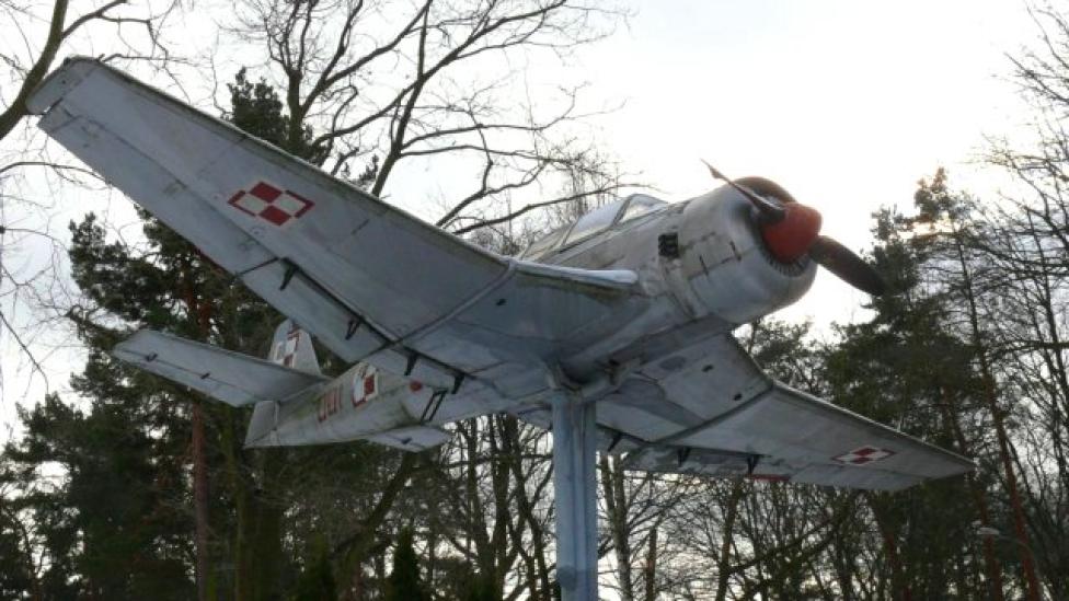 Samolot szkolno-treningowy TS-8 Bies (fot. gdynia.pl)