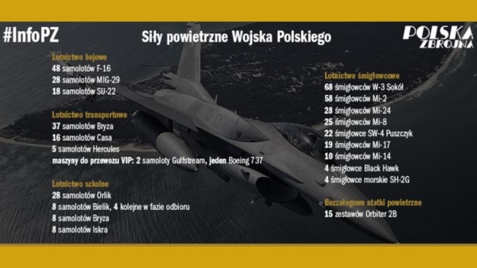 Siły powietrzne Wojska Polskiego (Grafika: Polska Zbrojna)