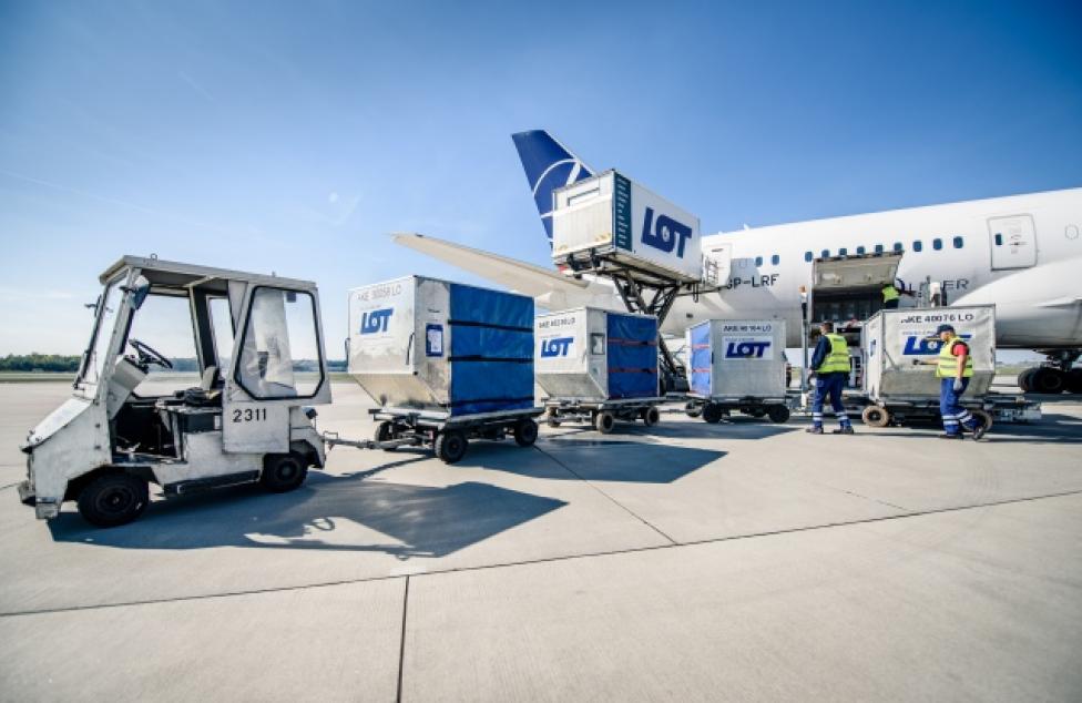 Załadunek towarów do Boeinga 787 Dreamliner należącego do LOT-u (fot. PLL LOT)