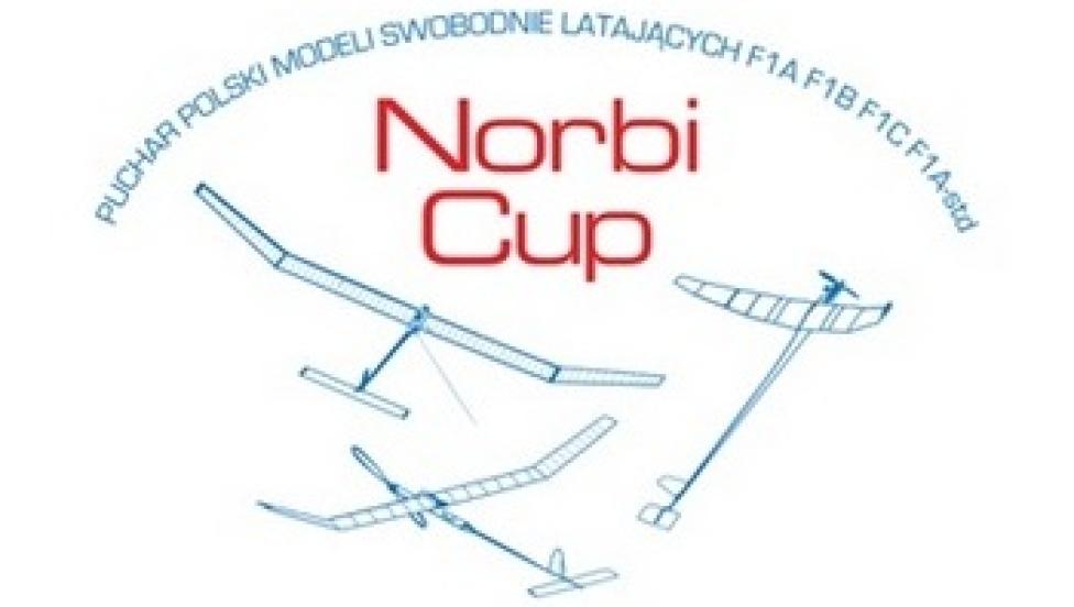 Ogólnopolskie Zawody Modeli Swobodnie Latających Norbi Cup (fot. freeflight-krosno.vxm.pl)