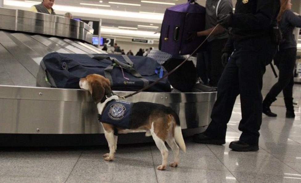 "Złapać przemytnika" - kontrola bagażu na lotnisku (fot. National Geographic)