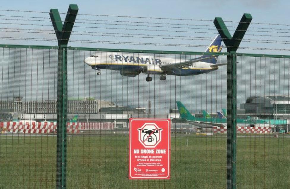 Lotnisko w w Dublinie - lądujący samolot (fot. aol.co.uk)