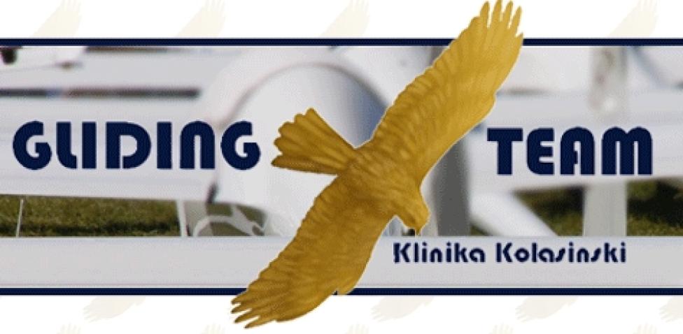 Gliding Team (logo)