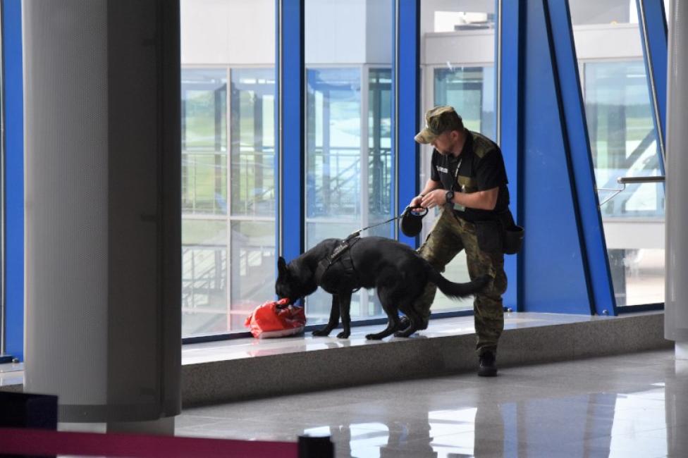 Pies służbowy Strażu Granicznej obwąchuje pozostawioną paczkę na katowickim lotnisku (fot. Śląski OSG)