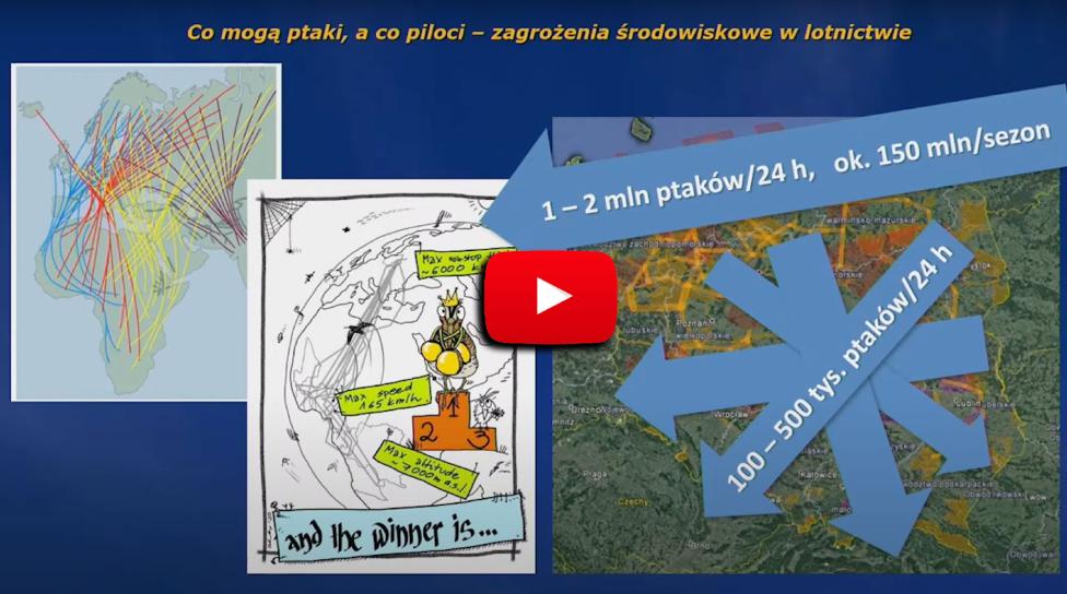 AviationEduSunday: „Co mogą ptaki, a co pilot…” opowiada dr Michał Skukuj