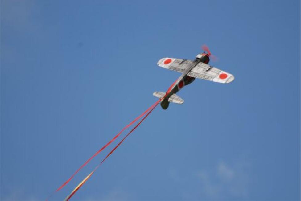 Model samolotu biorący udział w zawodach Aircombat ESA (fot. Ewa Tyburczy)
