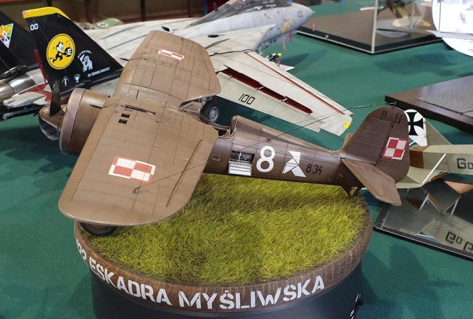 Modele samolotów (fot. Szczeciński Paprykarz Modelarski, Facebook)