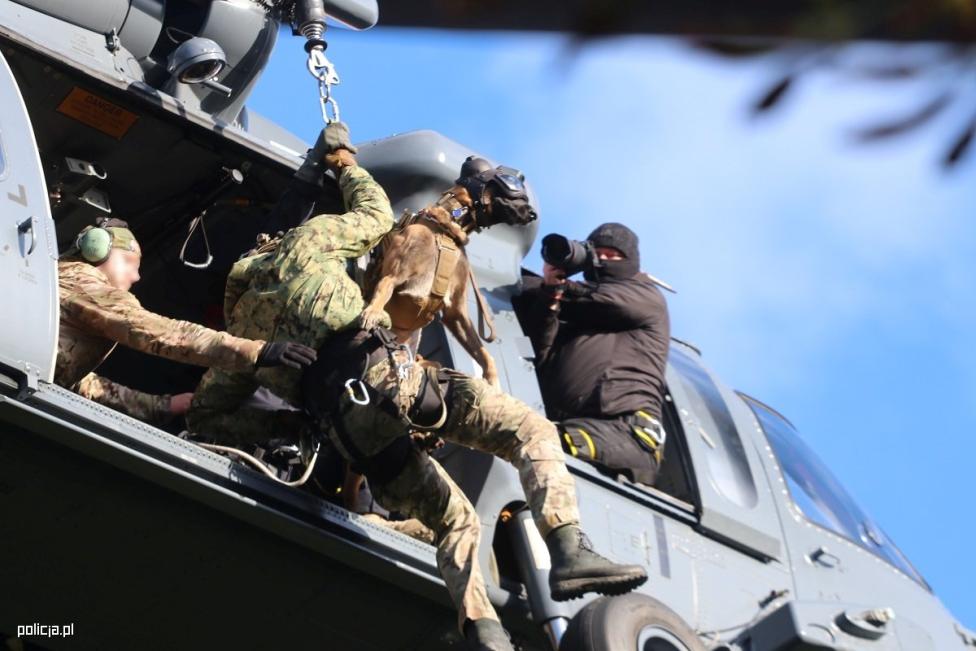 Przewodnicy ze swoimi psami ćwiczyli przy wykorzystaniu policyjnego śmigłowca S-70i Black Hawk (fot. mł. insp. Anna Kędzierzawska)