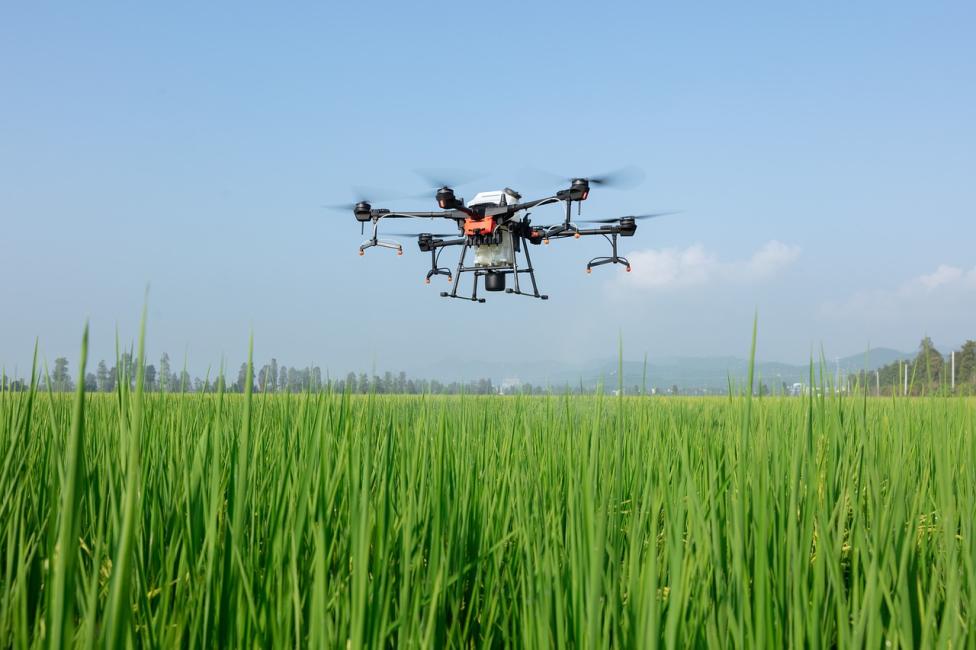 Dron nad polem z uprawami (fot. Akademia Nauk Stosowanych w Pile)